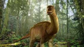 Brontosaurus