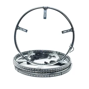Firewire LED Wheel Ring Light RGBW
