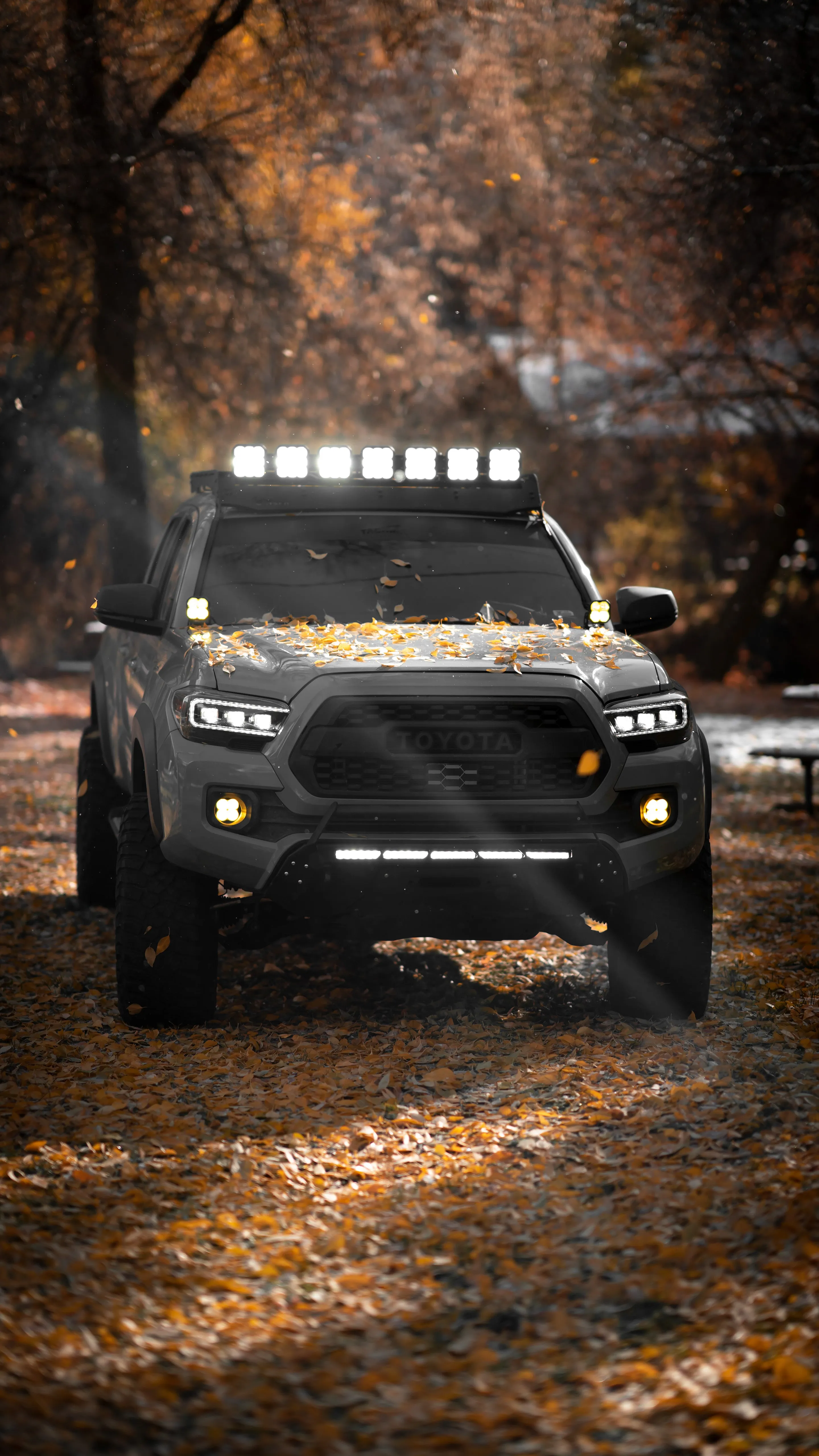 Form Lighting Sequential LED Projector Headlights For Tacoma (2016-2023)