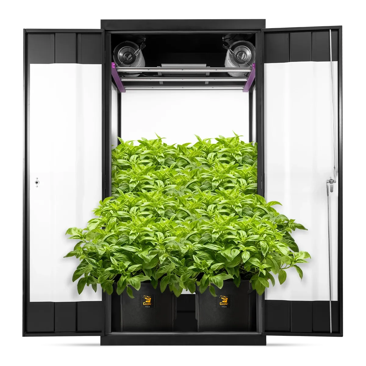 Gorilla Grow Cabinet 36” x 24” x 72” - Soil