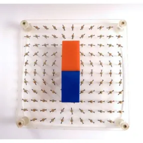 Magnetic Model Field