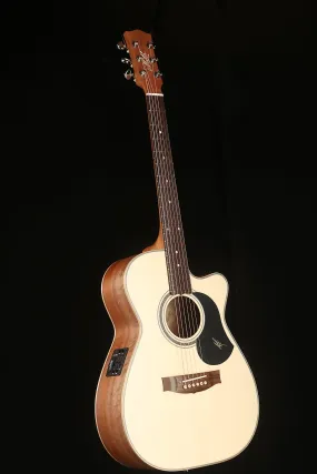 Maton Joe Robinson Signature Series Acoustic Electric Guitar
