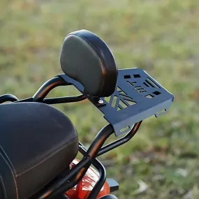 Mototorque -Tvs Ronin - Back Carrier
