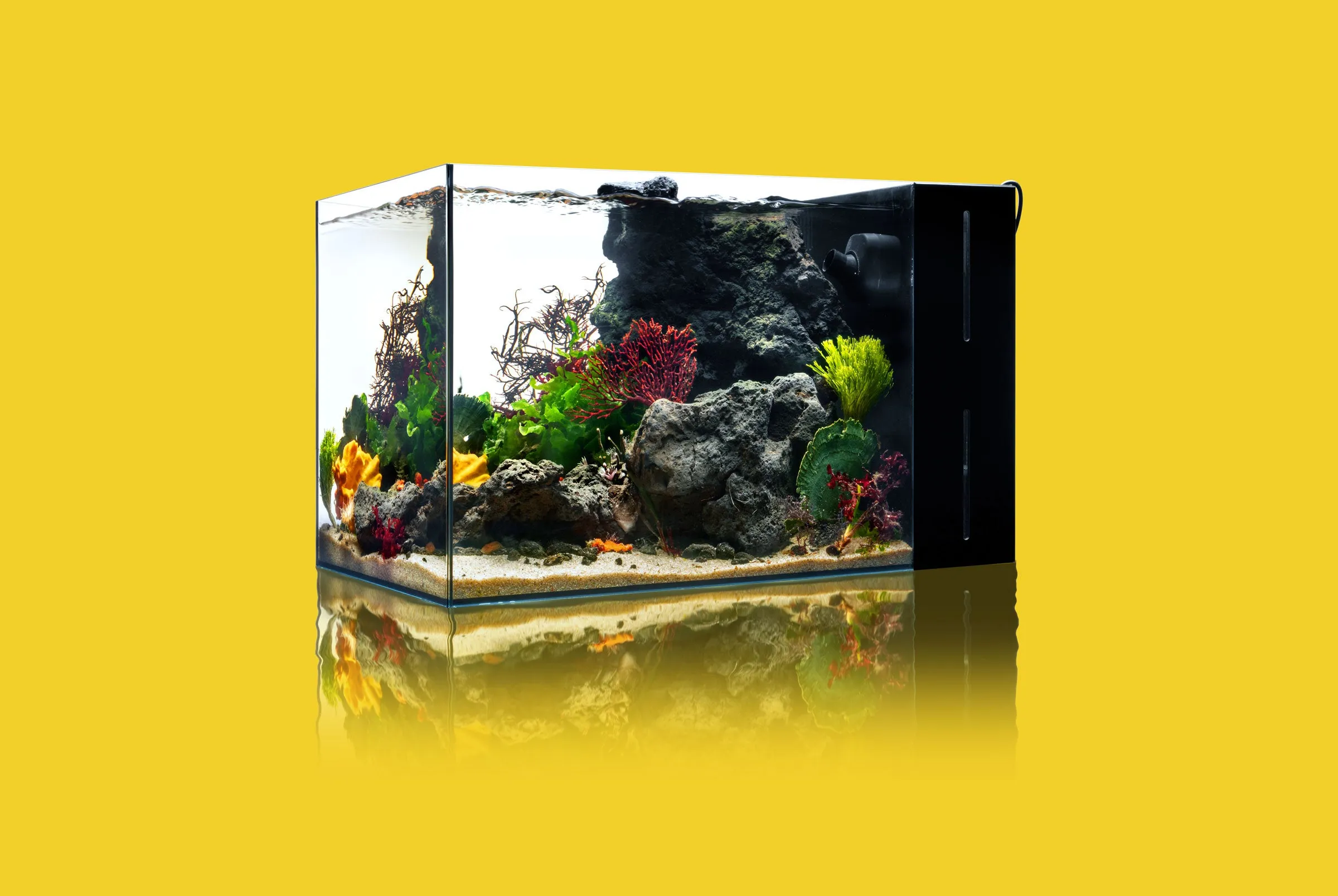 Reef Aquarium Starter Kit