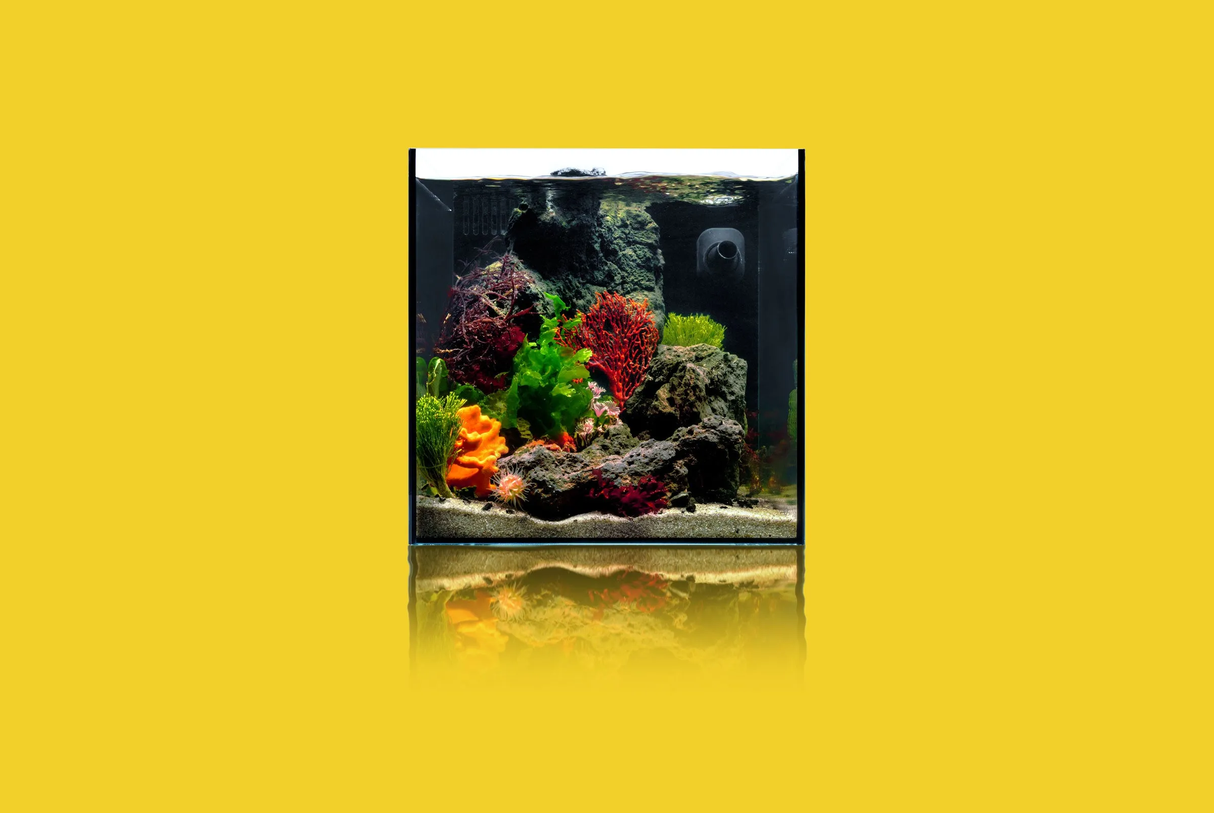 Reef Aquarium Starter Kit