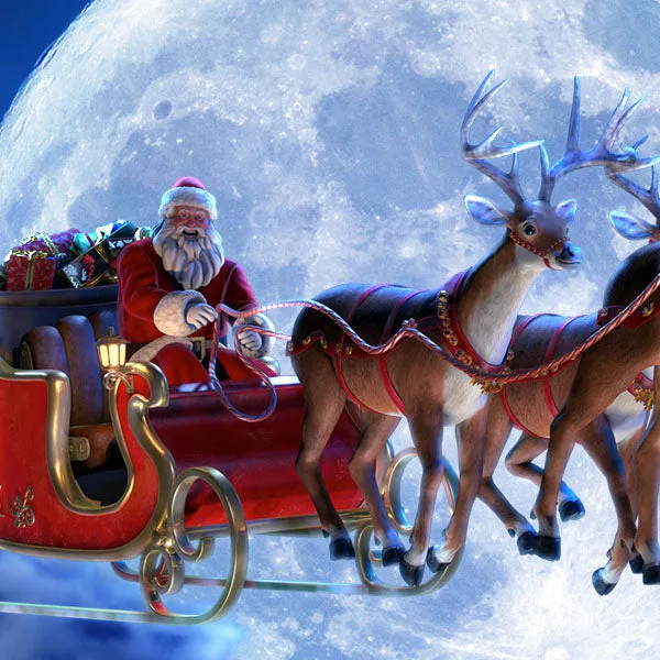 Santa's Sleigh Ride