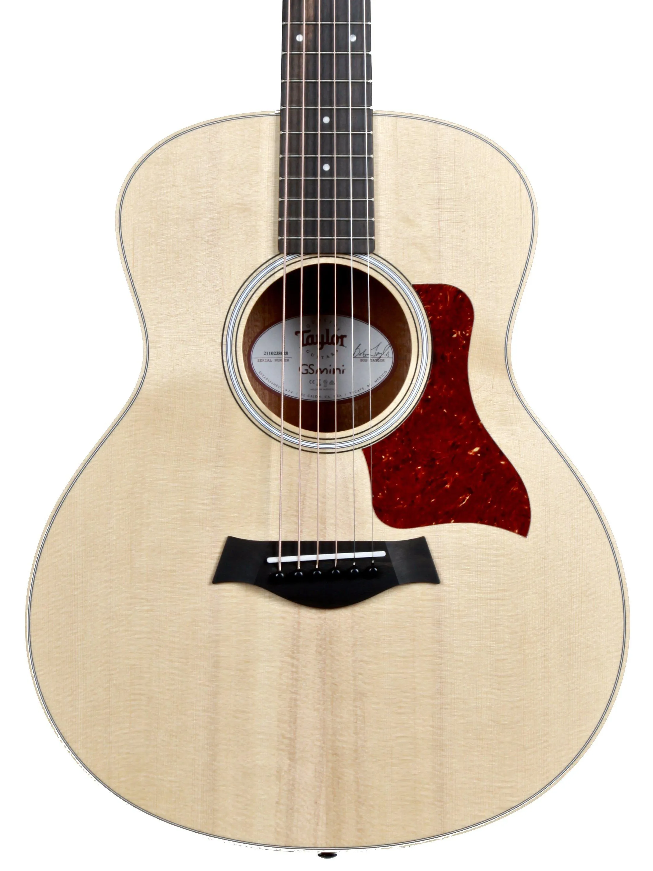 Taylor GS Mini