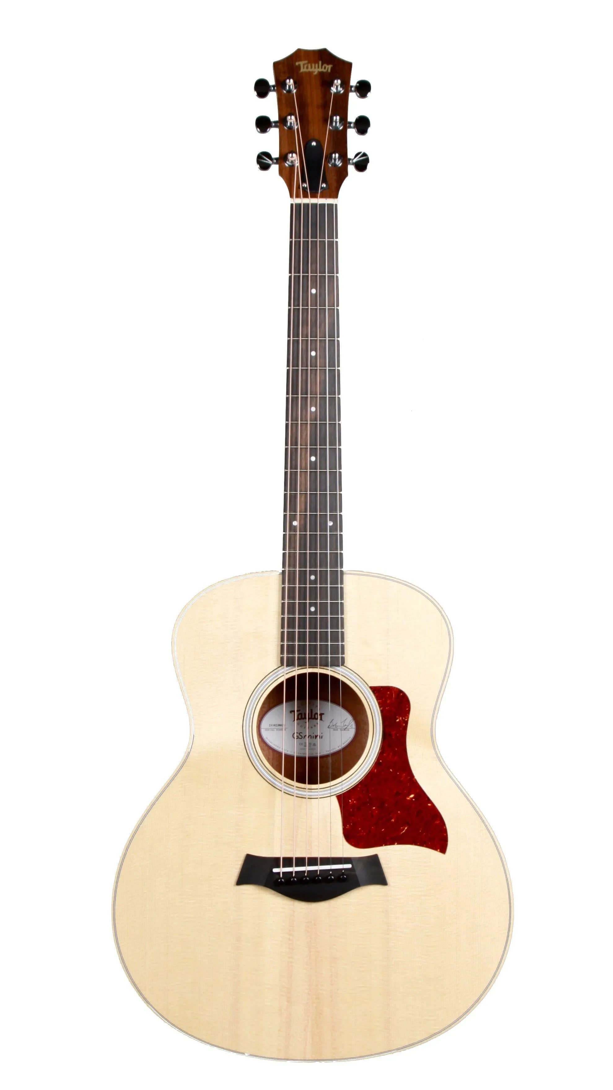 Taylor GS Mini