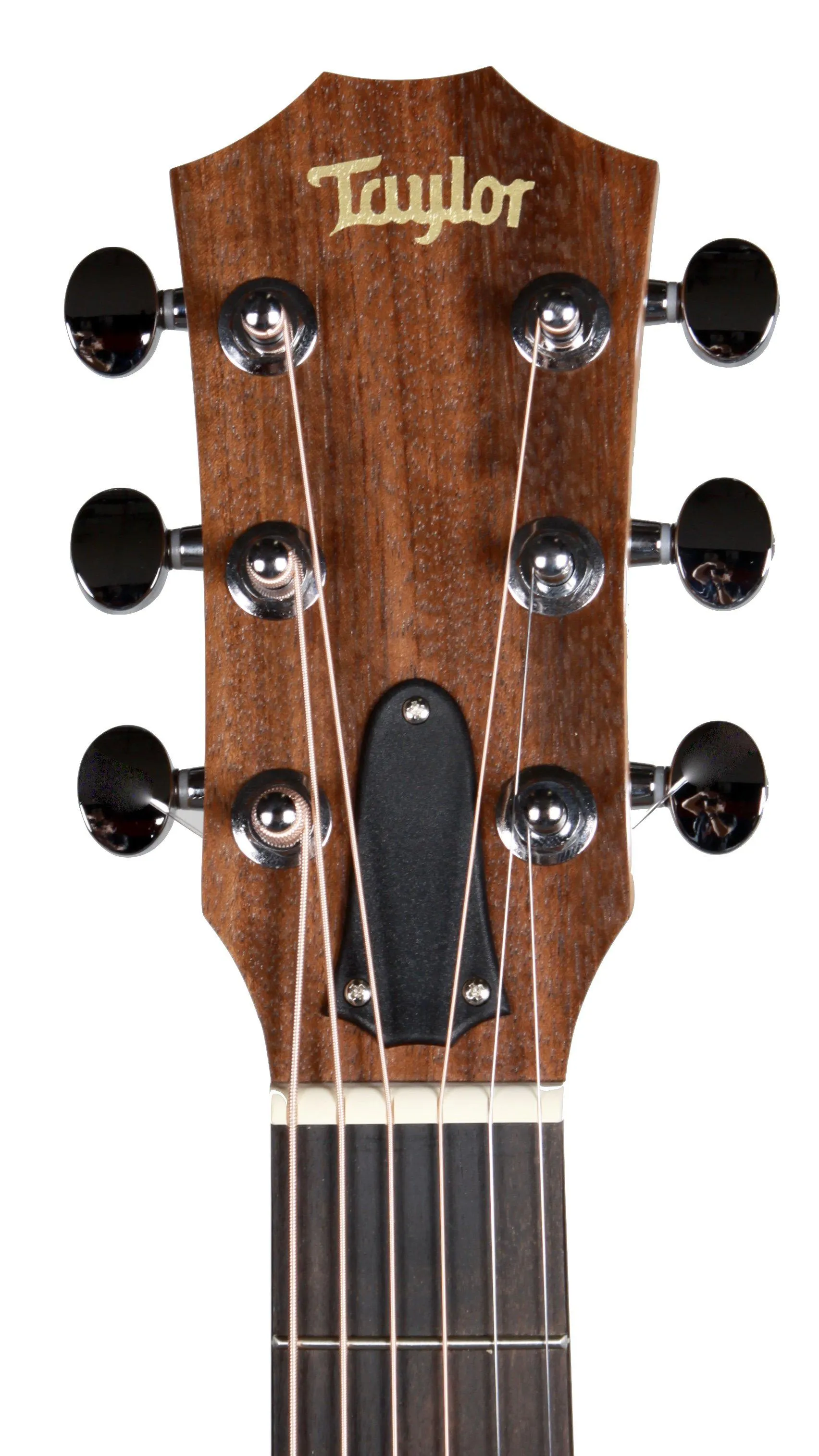 Taylor GS Mini
