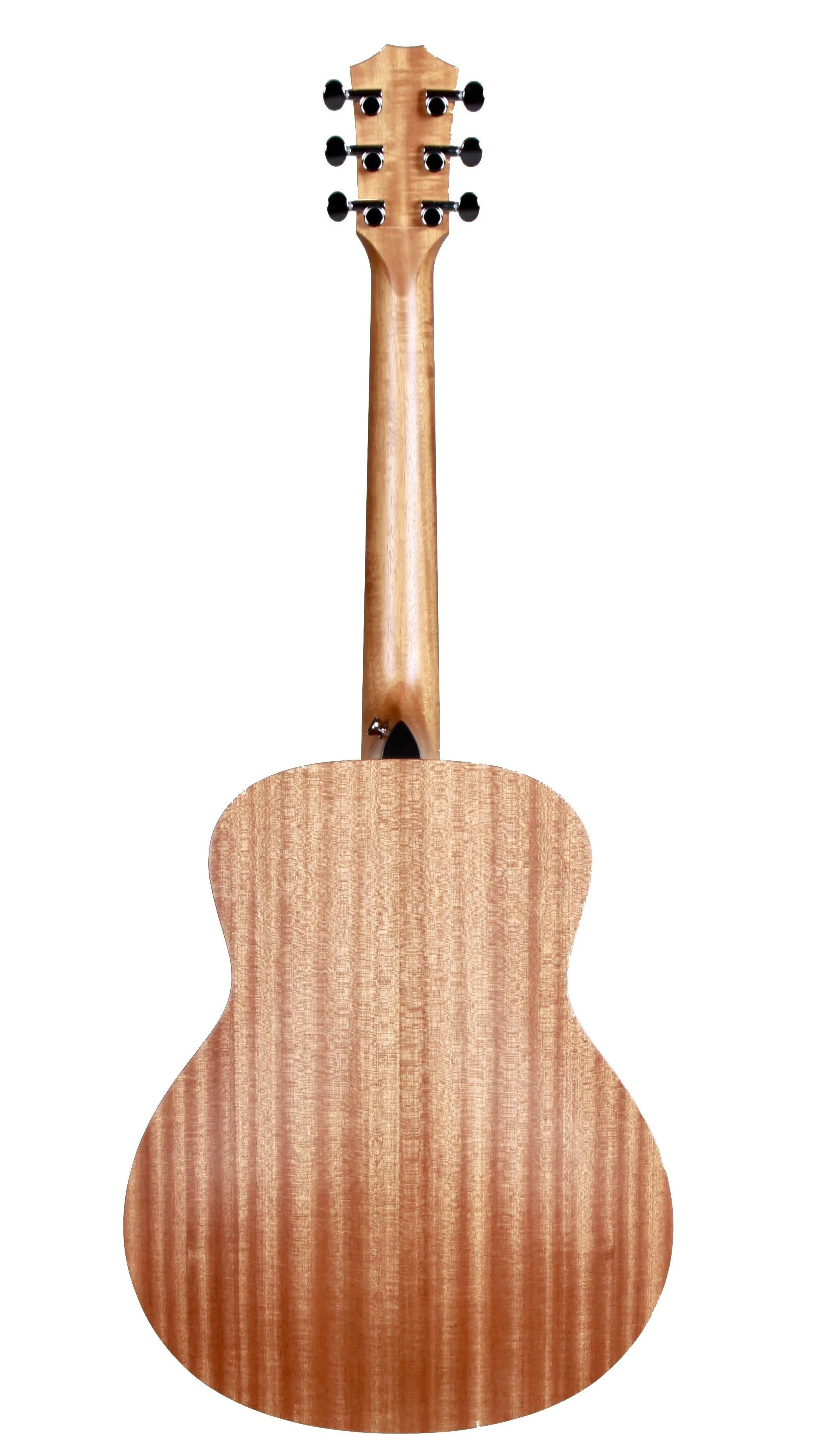 Taylor GS Mini