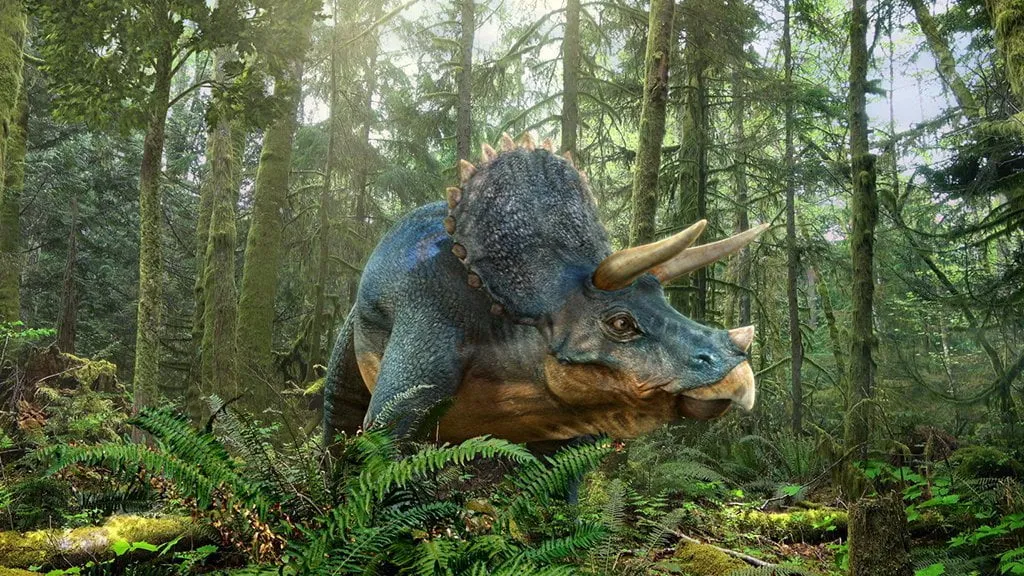 Triceratops