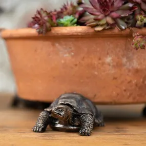 Turtle Flower Pot Stands (3 pieces)