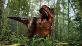 Tyrannosaurus Rex