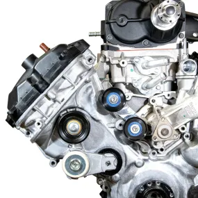 VMP Performance TVS Supercharged 11  Coyote No-Grind FEAD Kit - Street
